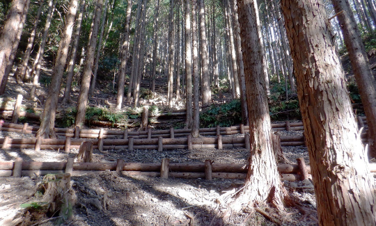 治山事業