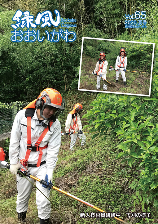 緑風 2020年 夏号