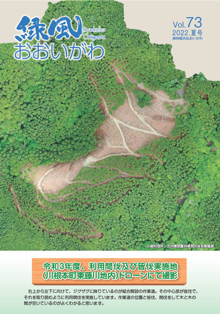 緑風 2022年 夏号