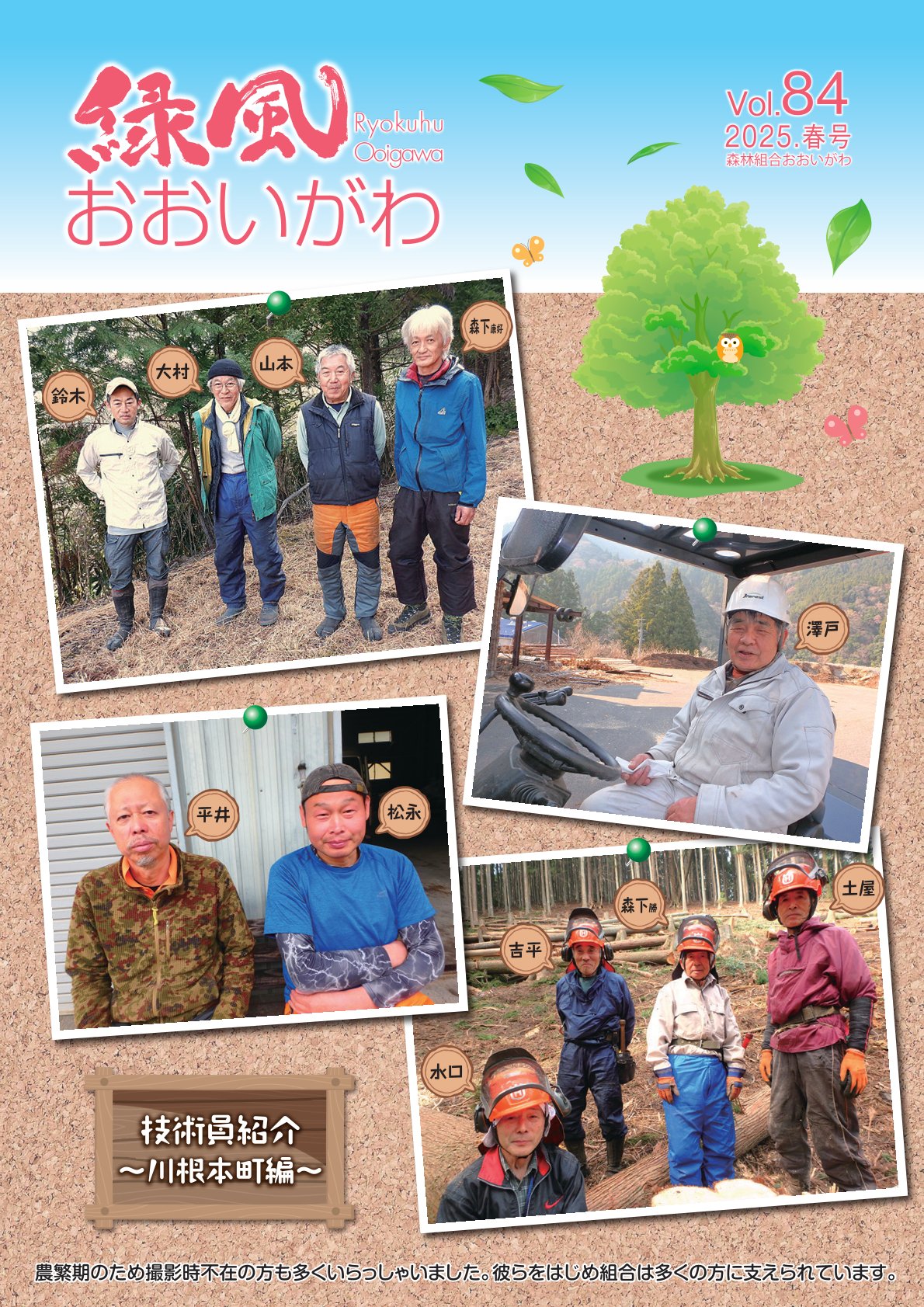 緑風 2025年 春号