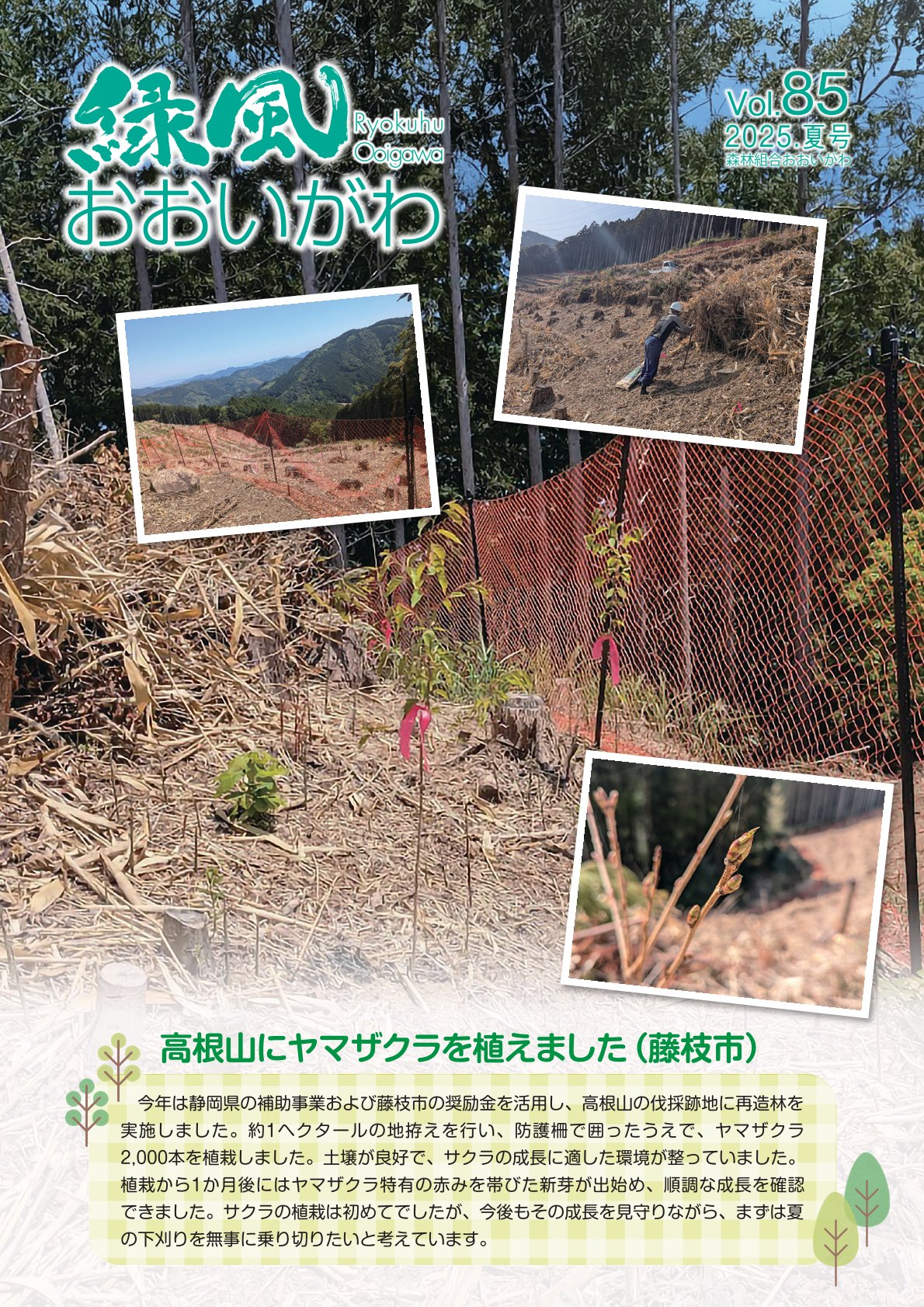 緑風 2025年 夏号